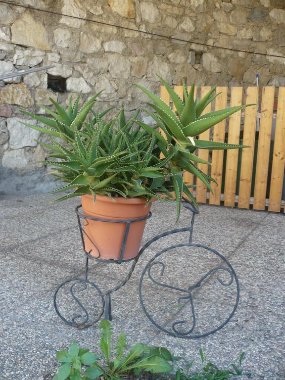 Appartamento Michela Brenzone sul Garda Camera foto